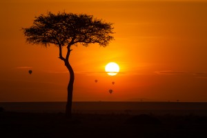 solar kenya