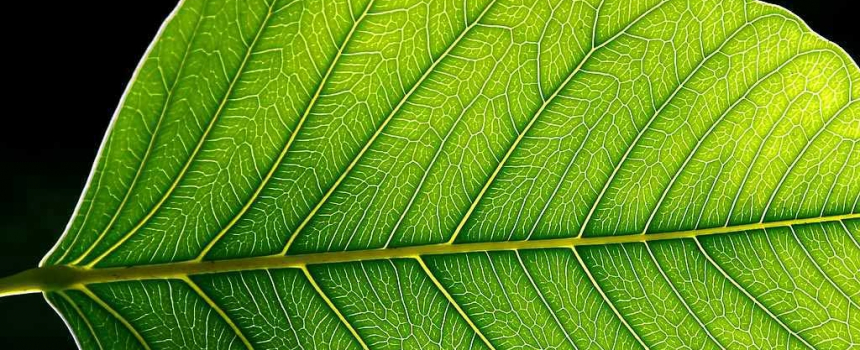 New solar cell generates hydrogen and electricity at the same time